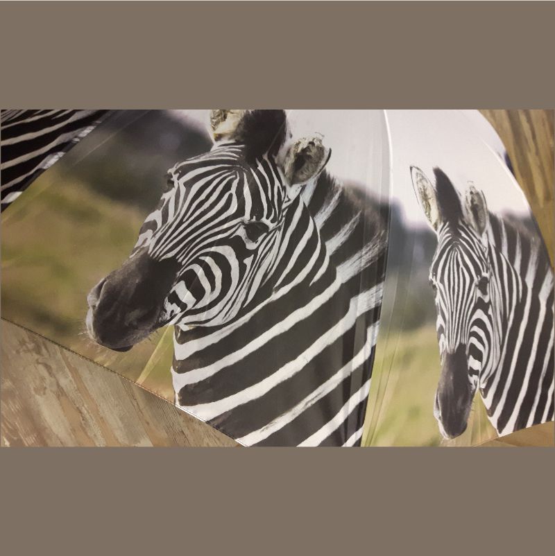efficiëntie landen Onweersbui Paraplu zebra van Esschert design van FAME musthaves