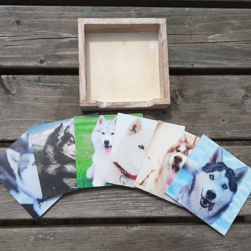 Onderzetters Siberische Husky's set 6 stuks